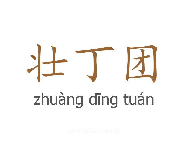 壮丁团
