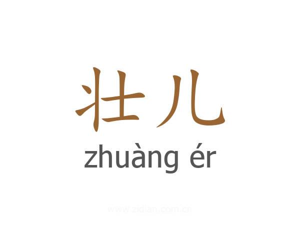 壮儿