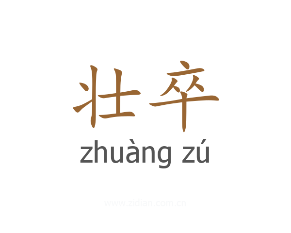 壮卒