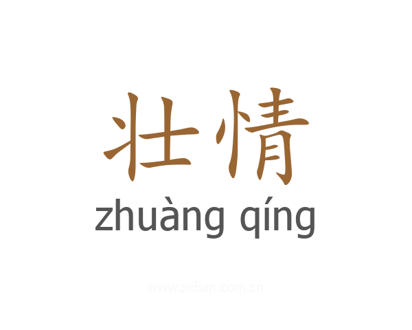 壮情