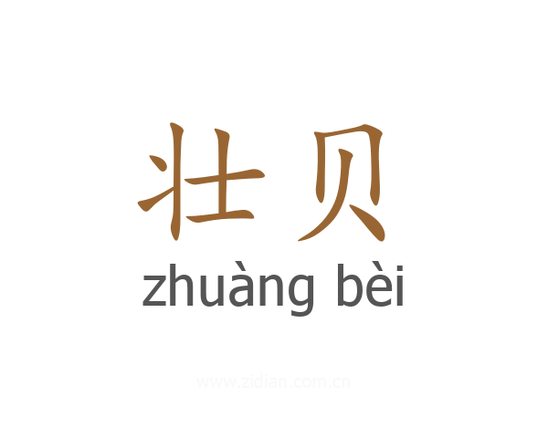 壮贝