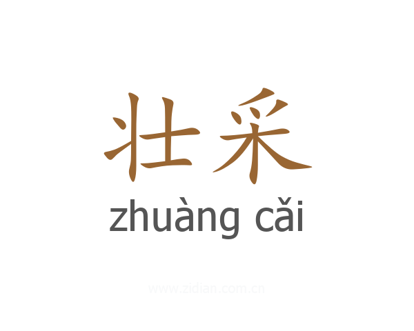 壮采