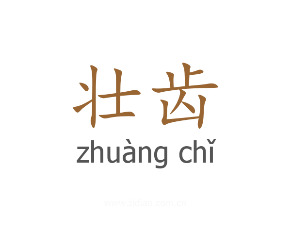壮齿