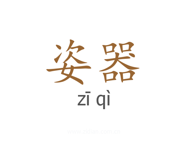 姿器