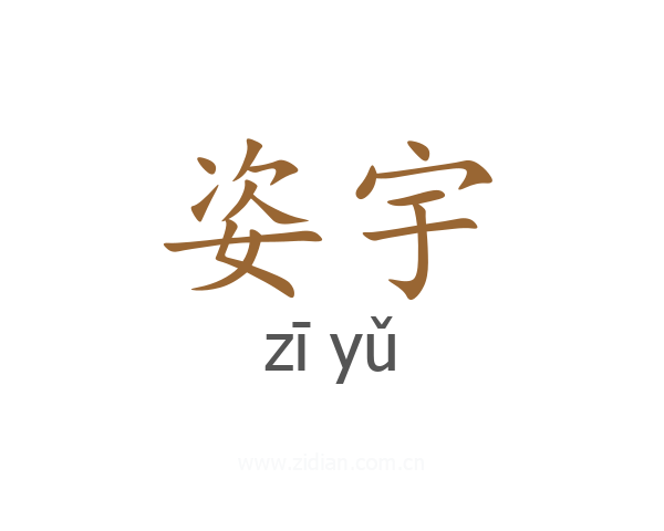 姿宇