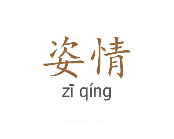 姿情