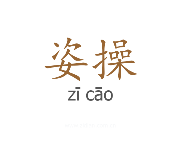 姿操