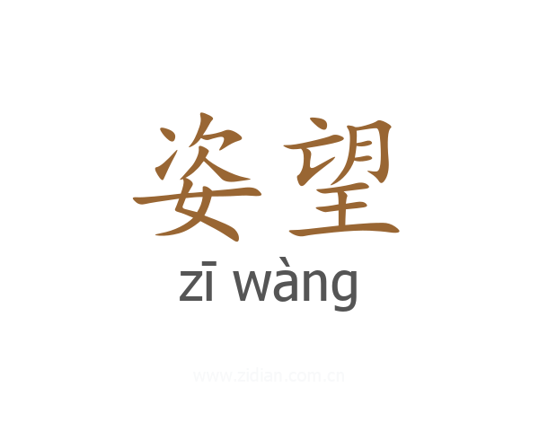 姿望