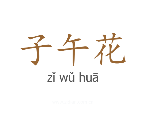 子午花