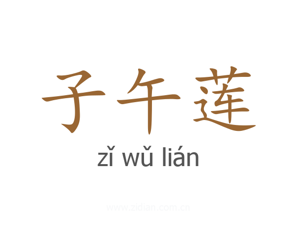 子午莲