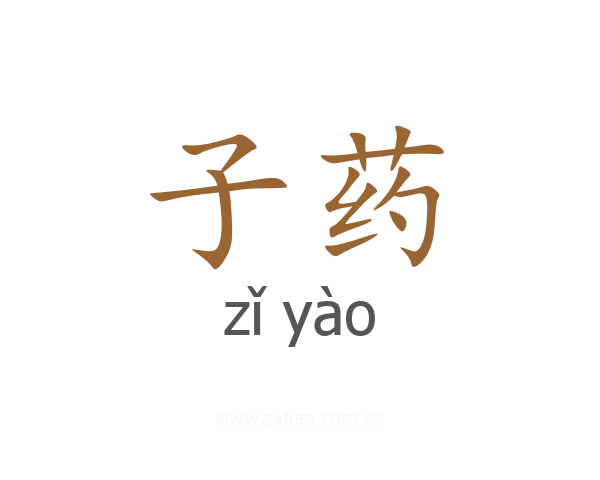 子药