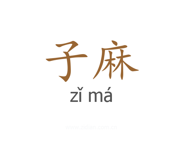子麻