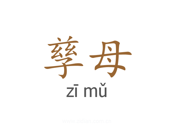 孳母