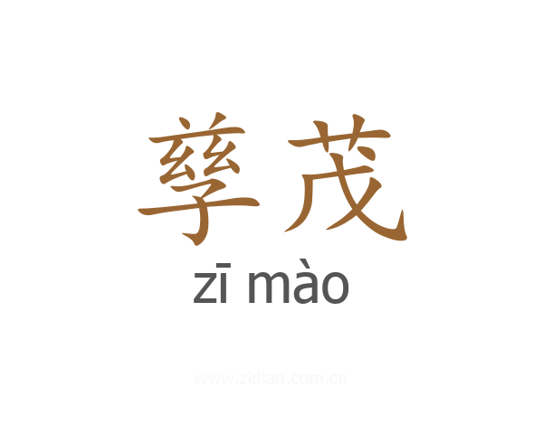 孳茂