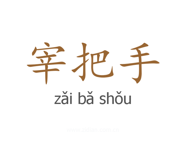宰把手