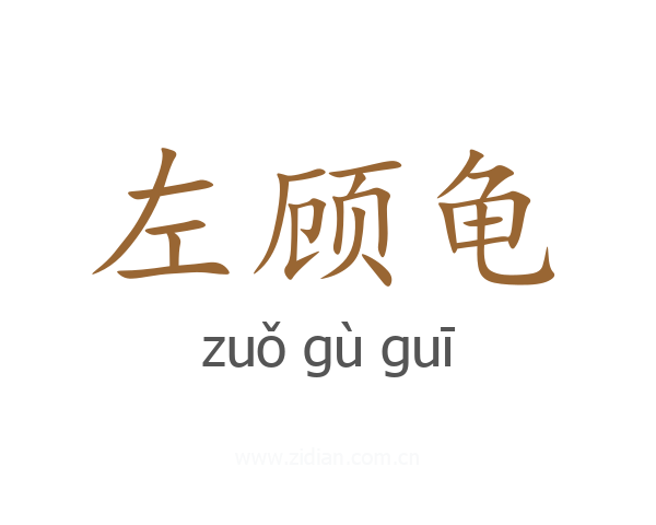 左顾龟