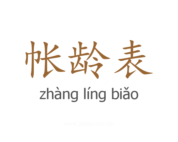 帐龄表