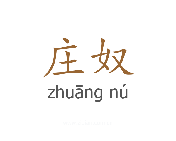 庄奴