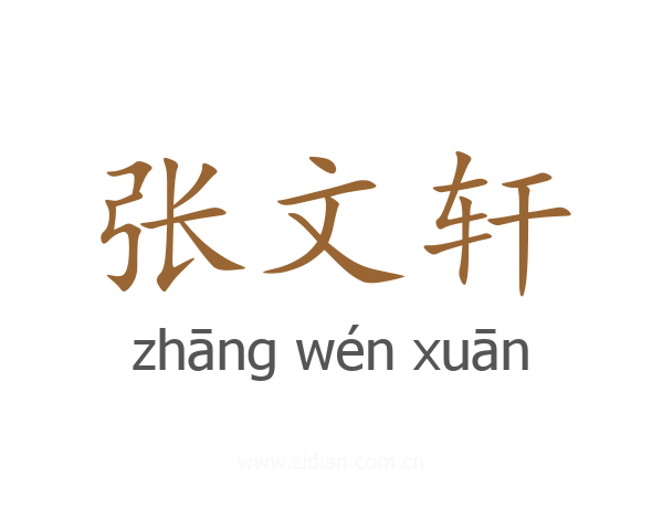 张文轩