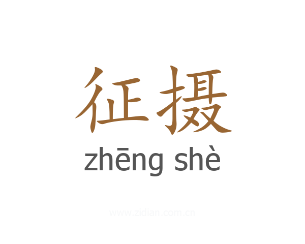 征摄