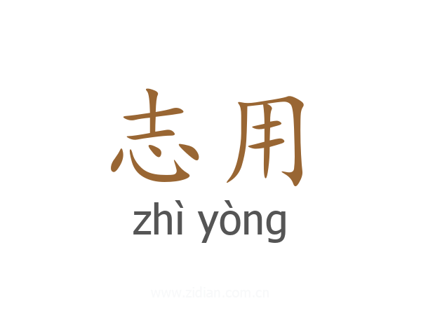 志用