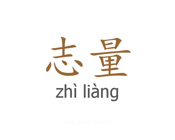 志量