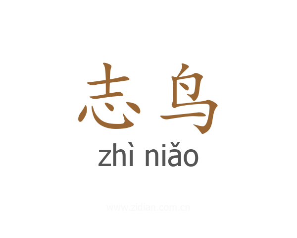志鸟