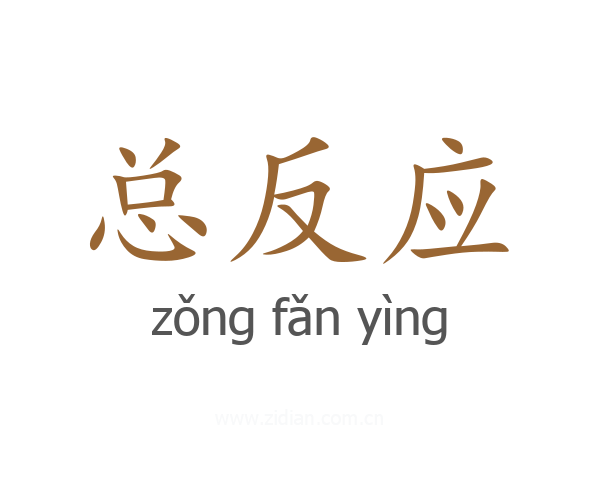 总反应