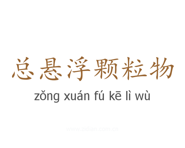 总悬浮颗粒物