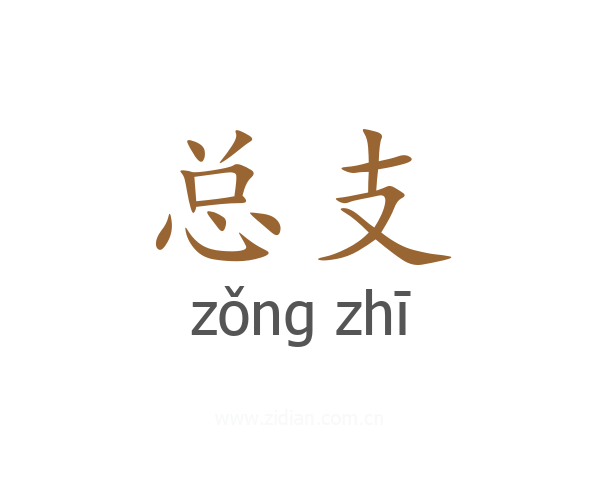 总支