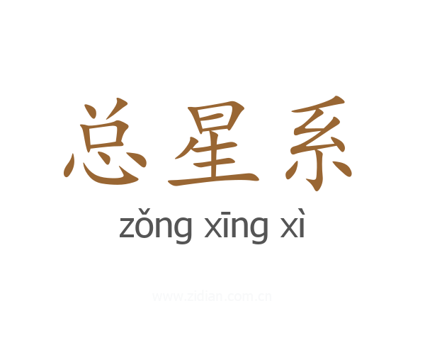 总星系