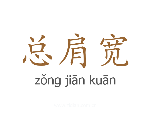 总肩宽