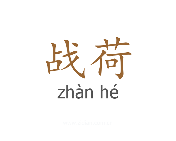 战荷