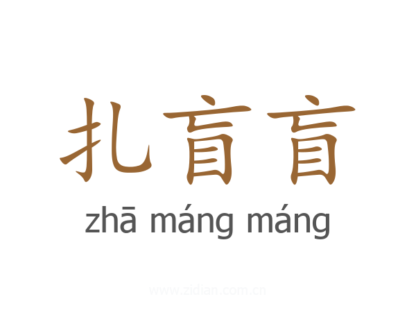 扎盲盲
