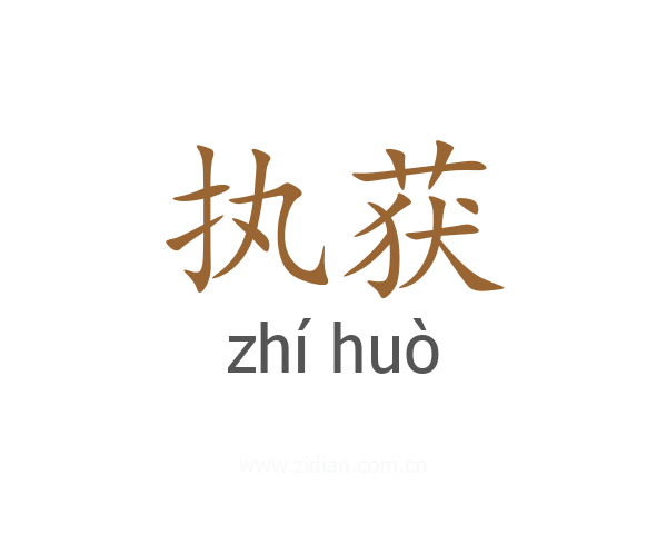 执获