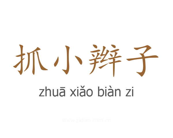 抓小辫子