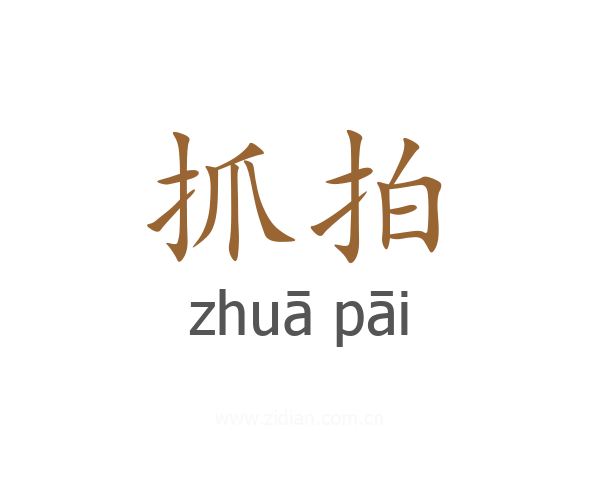 抓拍