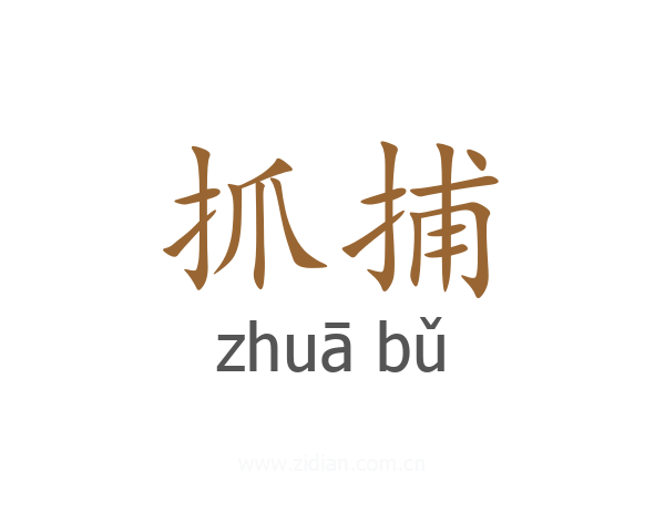 抓捕