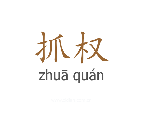 抓权