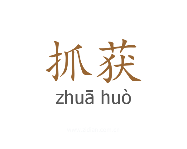 抓获