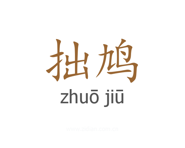 拙鸠