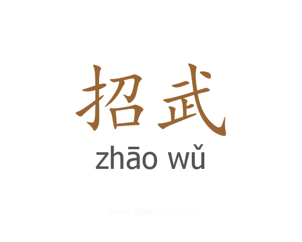 招武