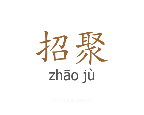 招聚