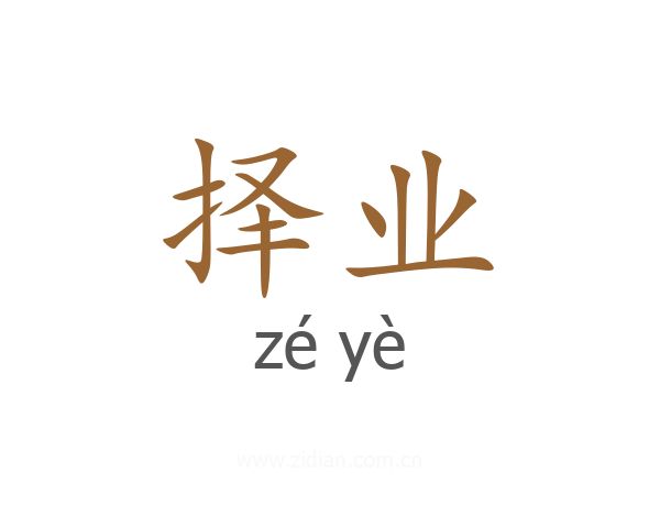 择业