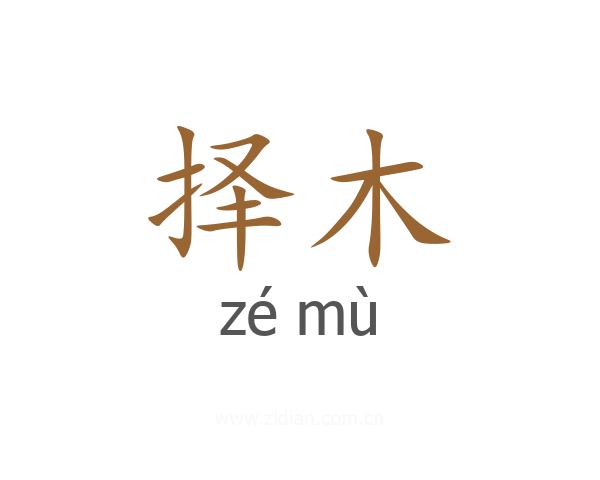 择木