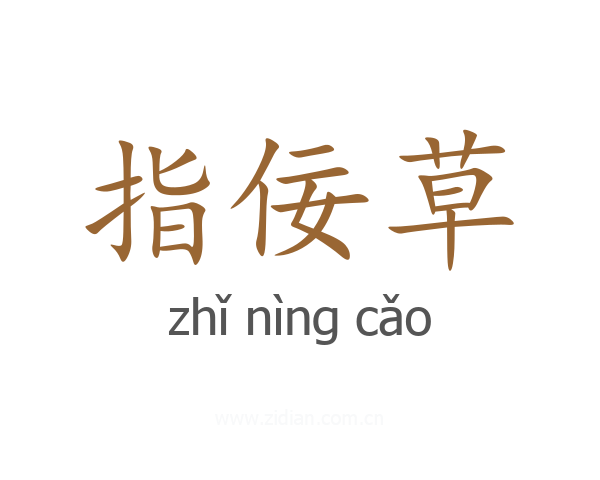指佞草