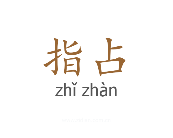 指占