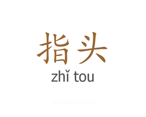 指头