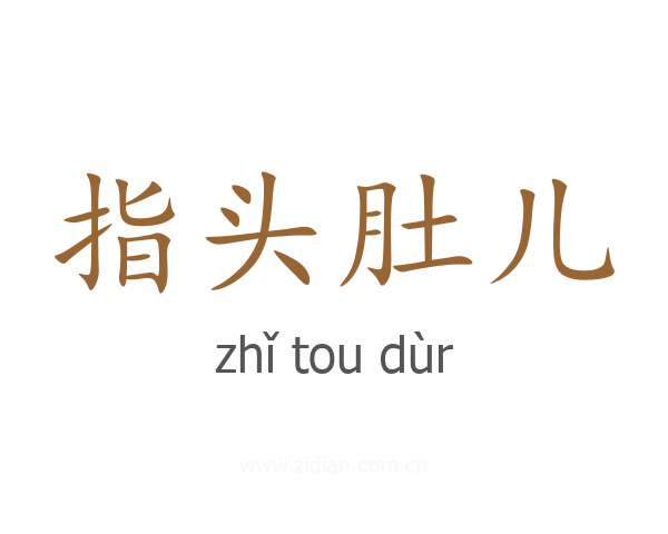 指头肚儿