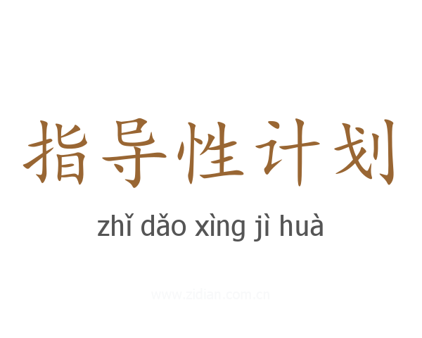 指导性计划